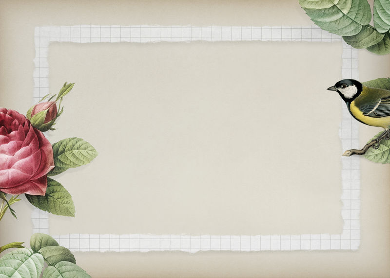 亮晶晶的玫瑰丛和黄色的大山雀在米色背景插图上有白色边框