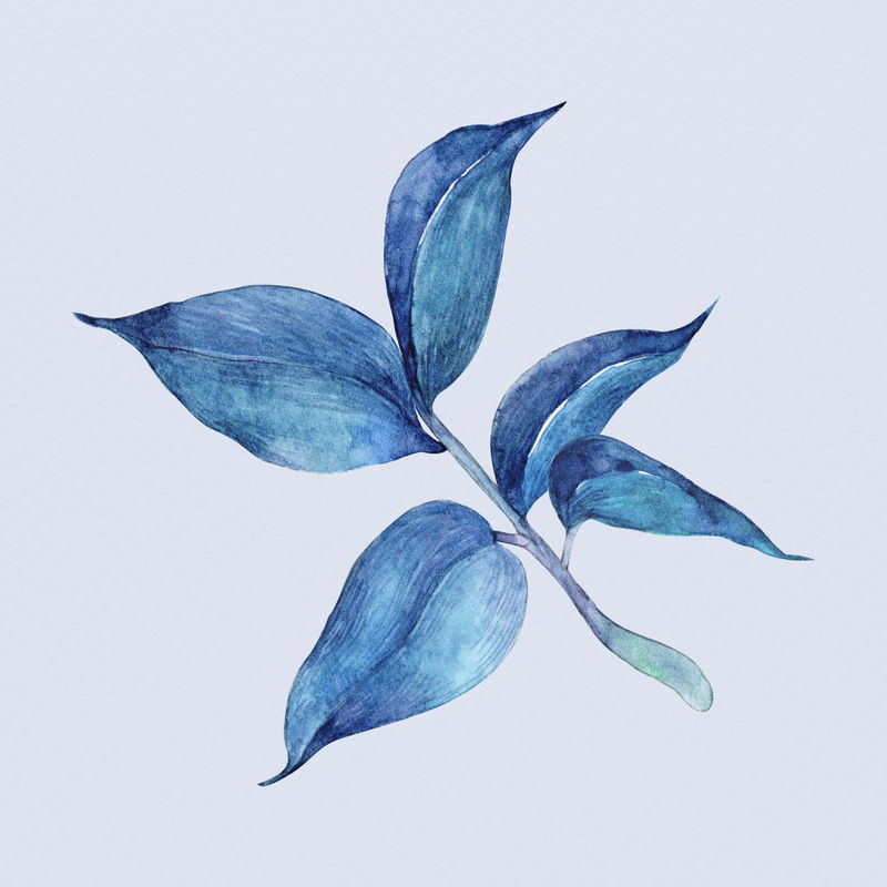 蓝色手绘水彩叶植物病害