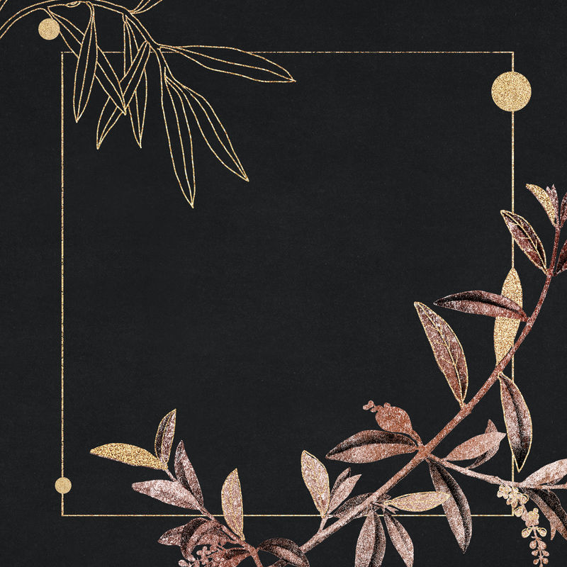 空白闪金框矢量