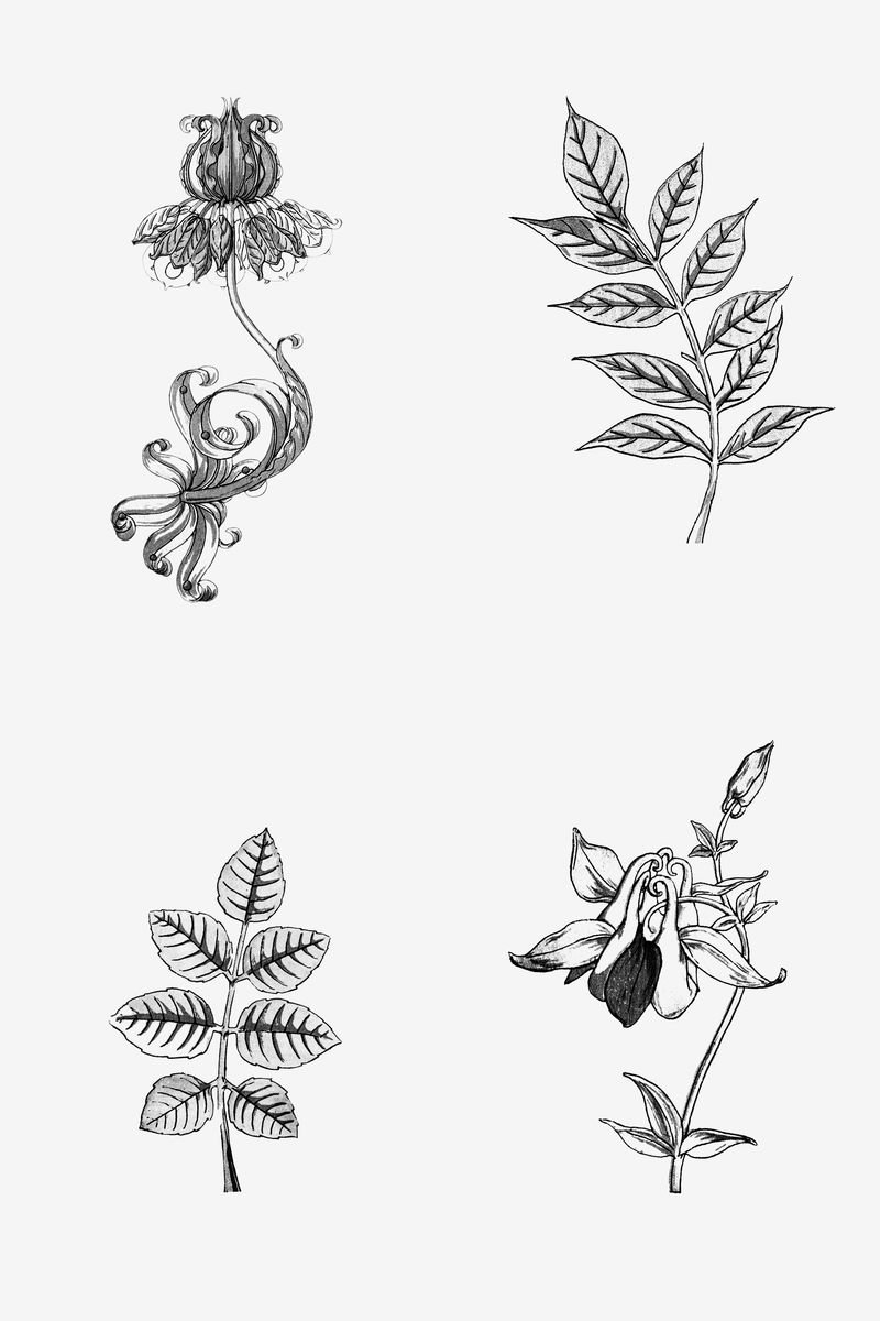 手绘花叶套装设计元素