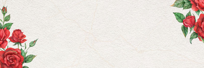红玫瑰边框psd横幅手绘花卉背景