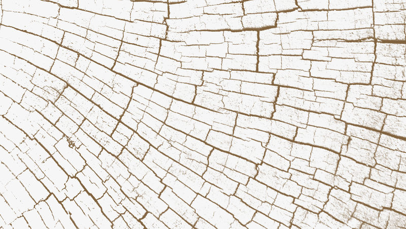 漂白树环博客横幅背景