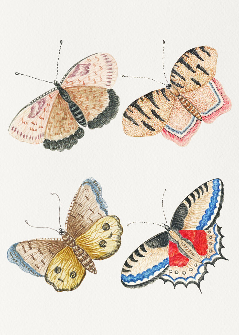 来自18世纪史密森博物馆的复古水彩作品