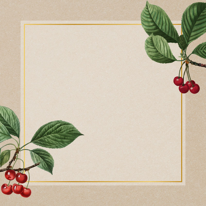 手绘樱桃图案配方形金框插图