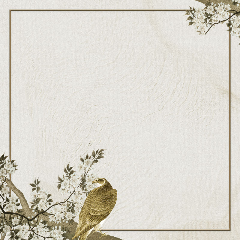 复古苍鹰框架与黄金元素