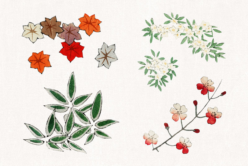 日本花卉装饰元素psd套装Watanabe Seitei艺术品混音