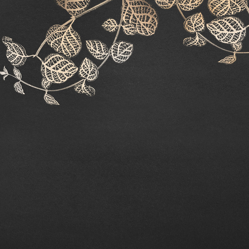 日本忍冬架上的黑色背景设计资源