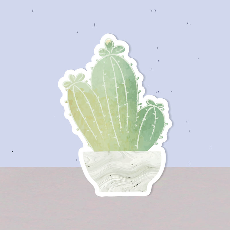 水彩仙人掌壶贴纸