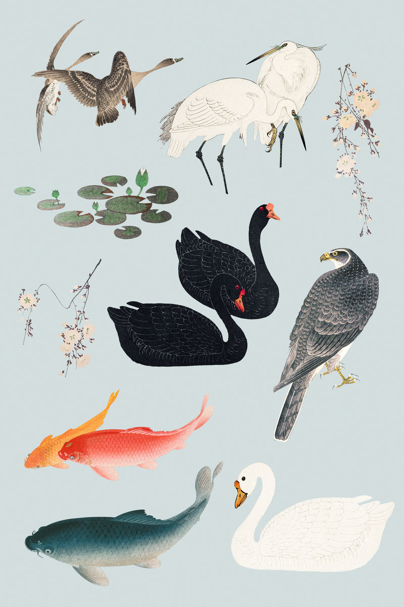 水禽和鱼在婴儿蓝色的背景设计元素