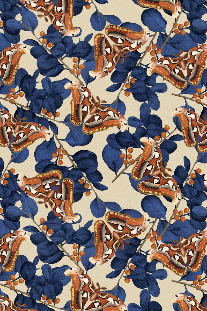 抽象蝴蝶花图案博物学家的复古混音&#x27；乔治·肖的《美国杂集》