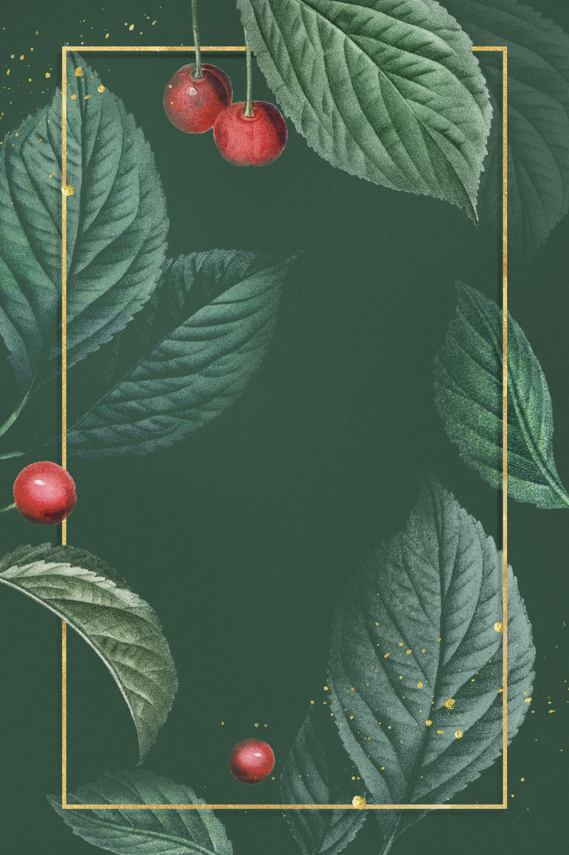 带有樱桃叶图案的社会模板插图的金属框架