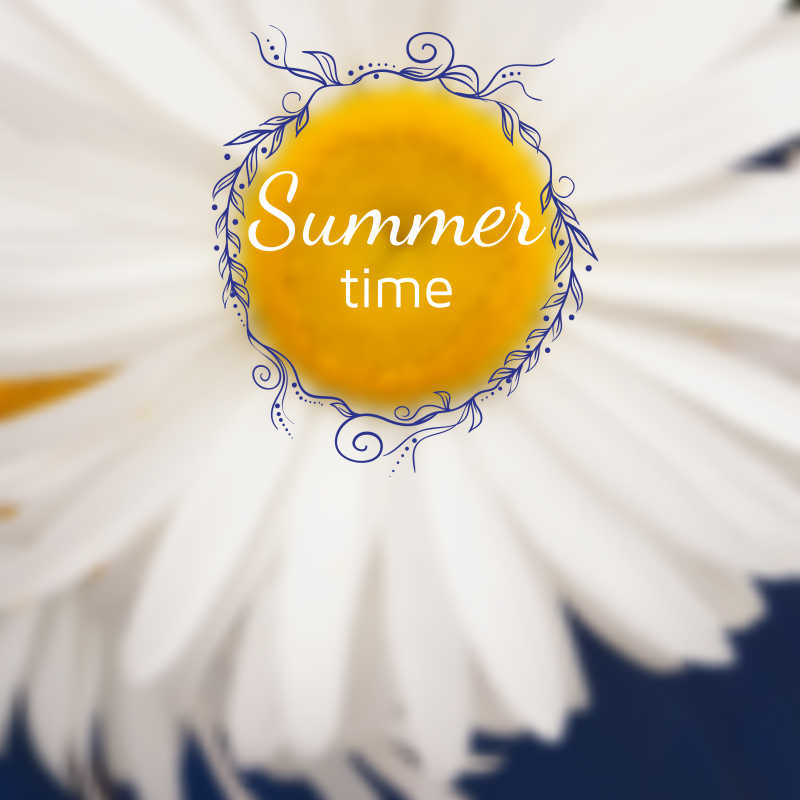 白色菊花底纹的矢量背景