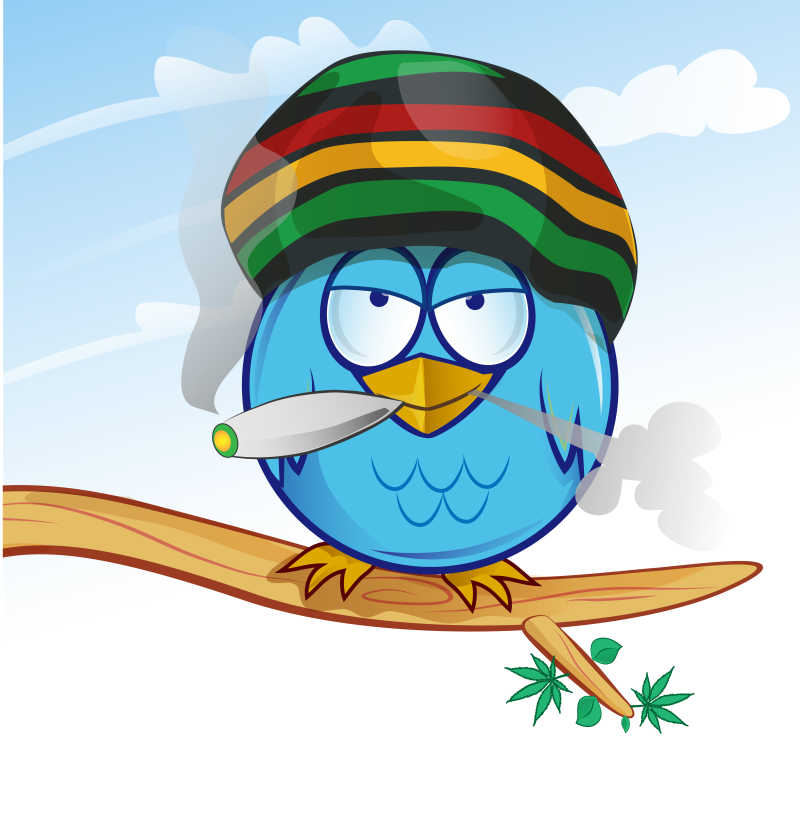 矢量卡通吸烟的猫头鹰