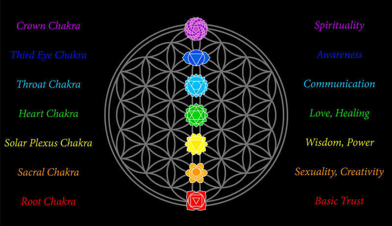 矢量女性色脉轮图解