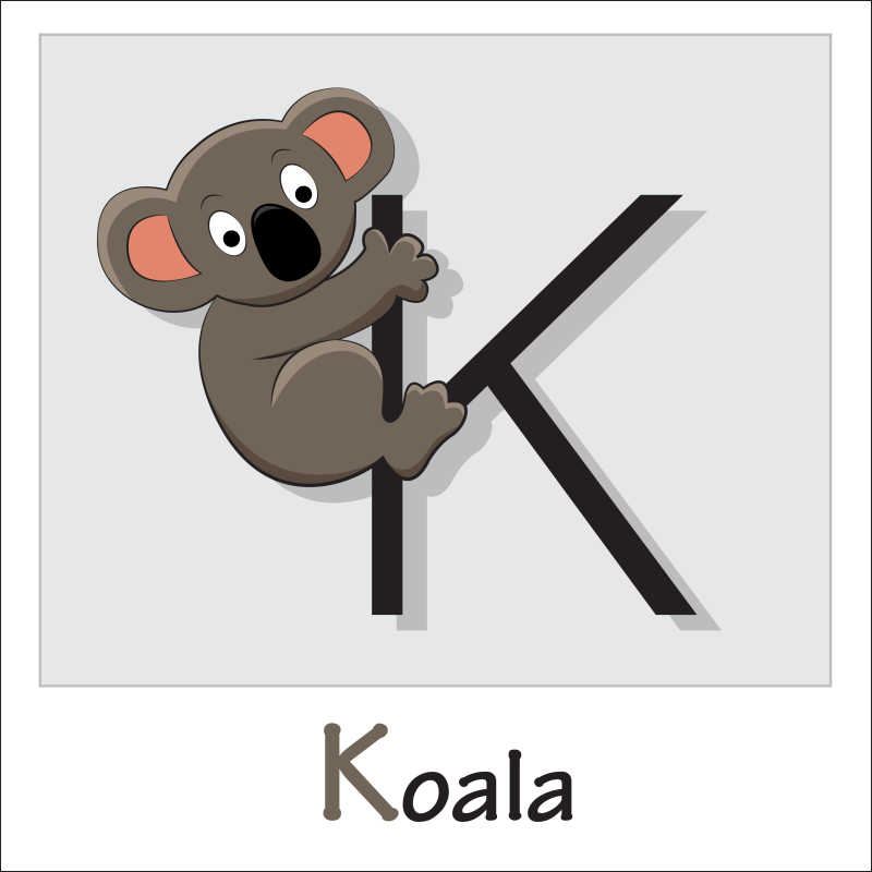 矢量卡通考拉和字母插图