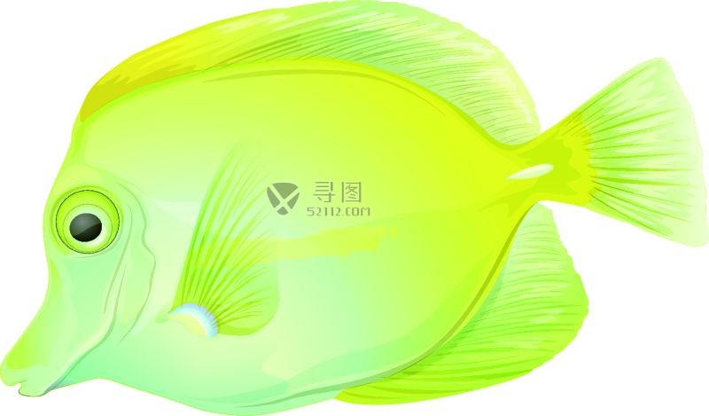 黄绿色矢量鱼