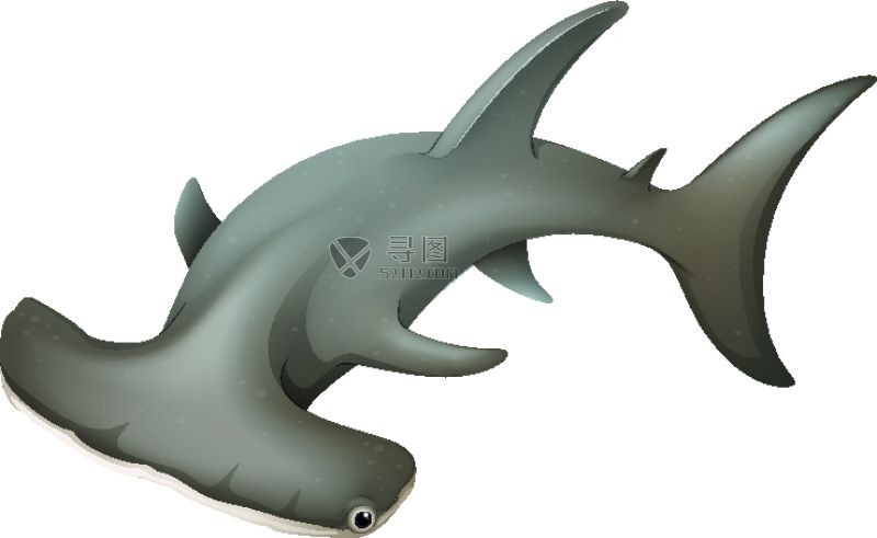 矢量斧头鲨模板