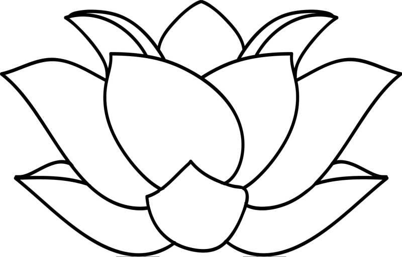 线条莲花的矢量插图