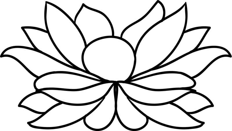 莲花装饰矢量插图