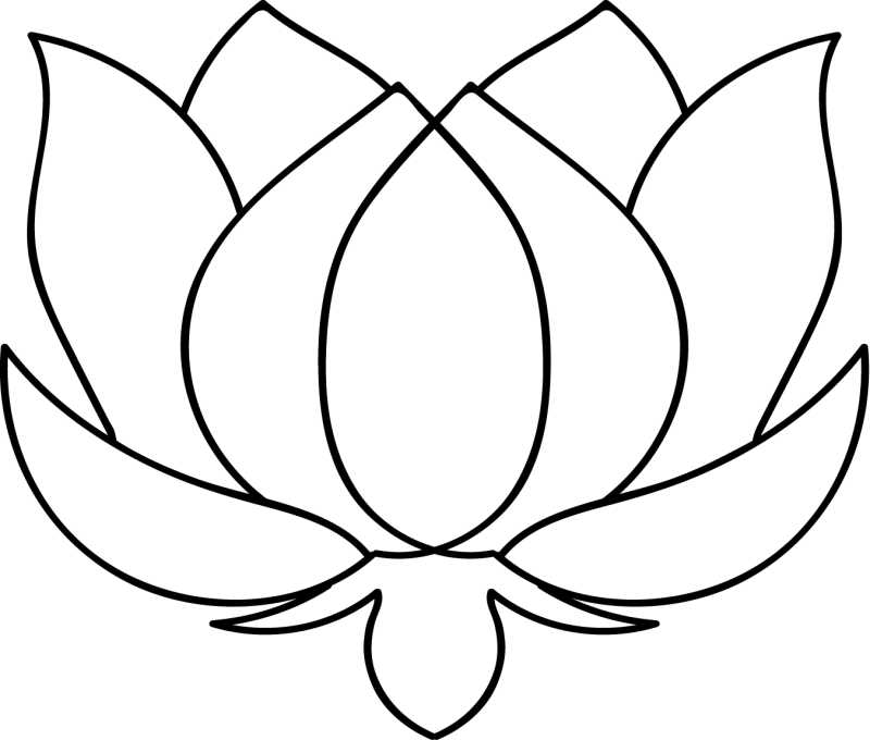 莲花的矢量标志插图