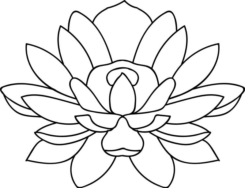 多瓣莲花的矢量标志插图