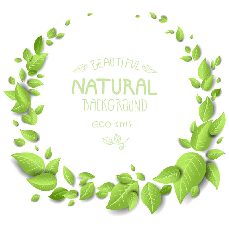 矢量白色背景背景的绿色圆形框架