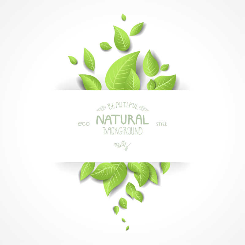 新鲜绿叶背景矢量插图