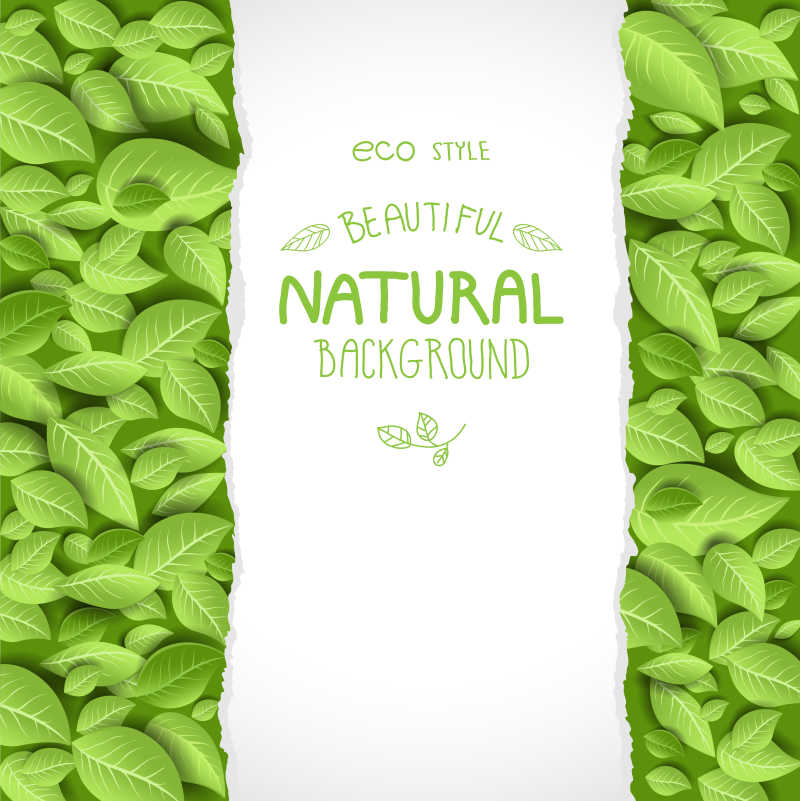 带叶的生态风格矢量插图背景