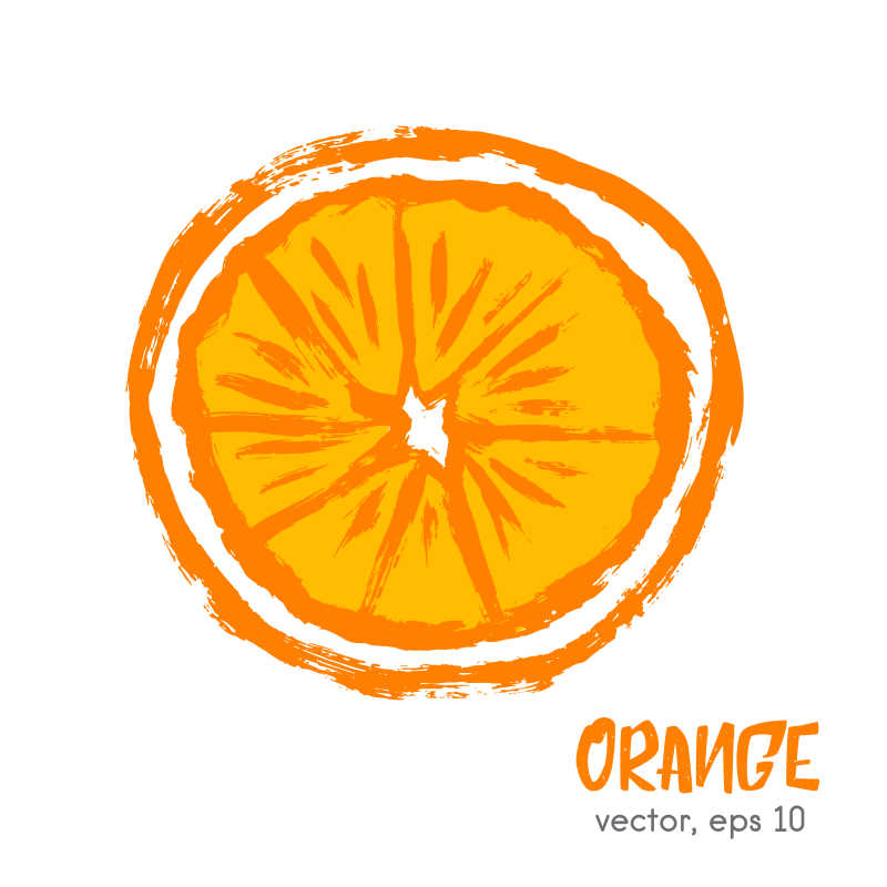 手绘的橙子矢量插画