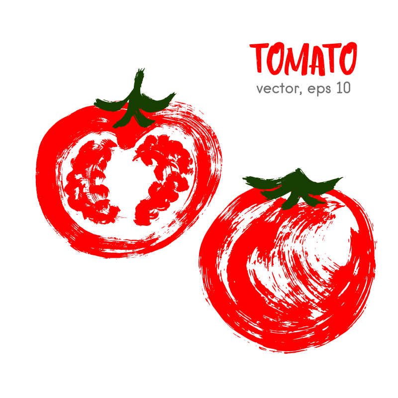 矢量的番茄插画