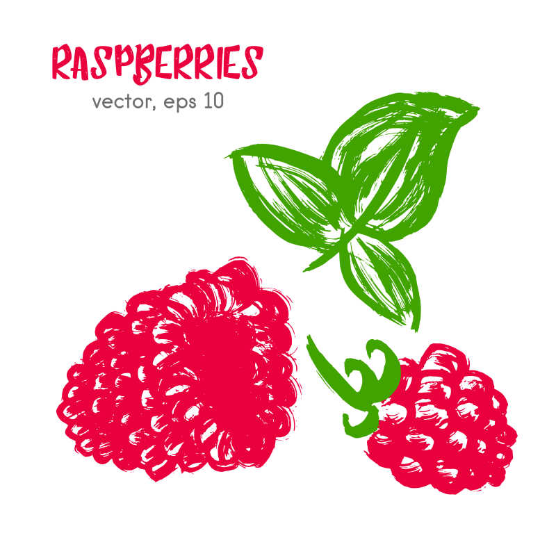 色彩鲜艳的树莓矢量插画