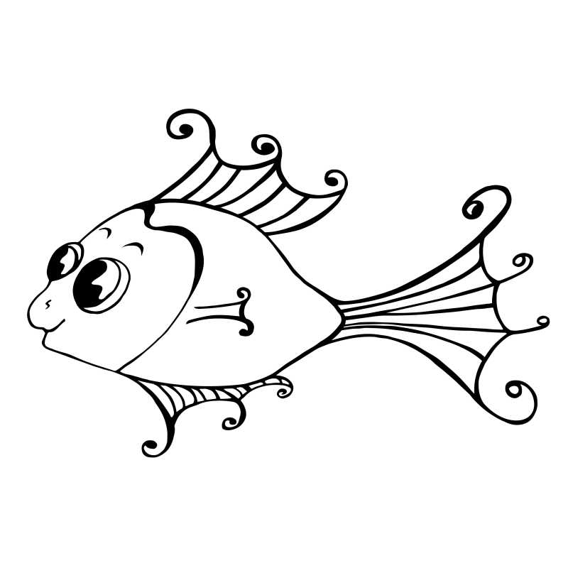 矢量手绘插画鱼