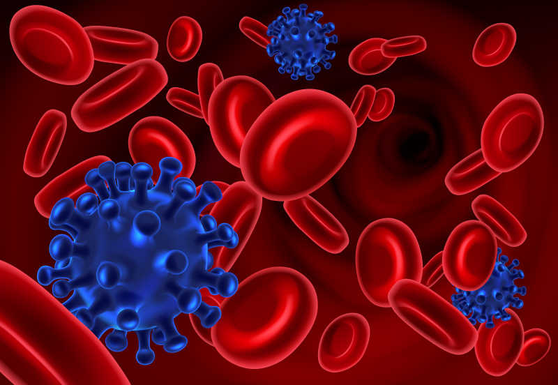 矢量红细胞和病毒插画