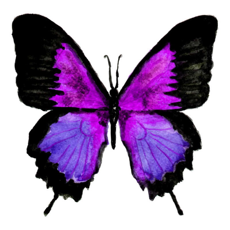 紫色软体虫子图片图片