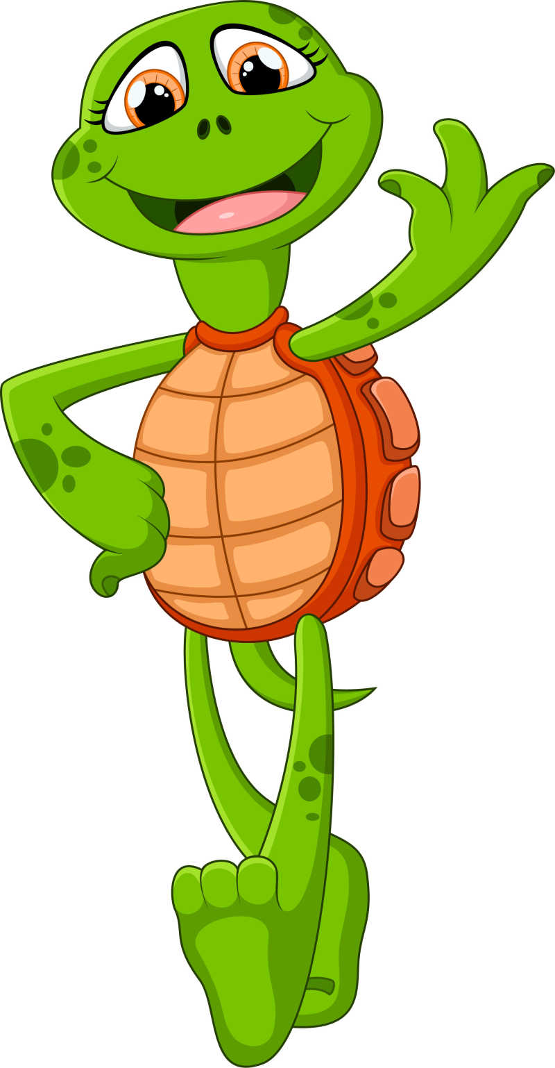 乌龟动漫形象图片