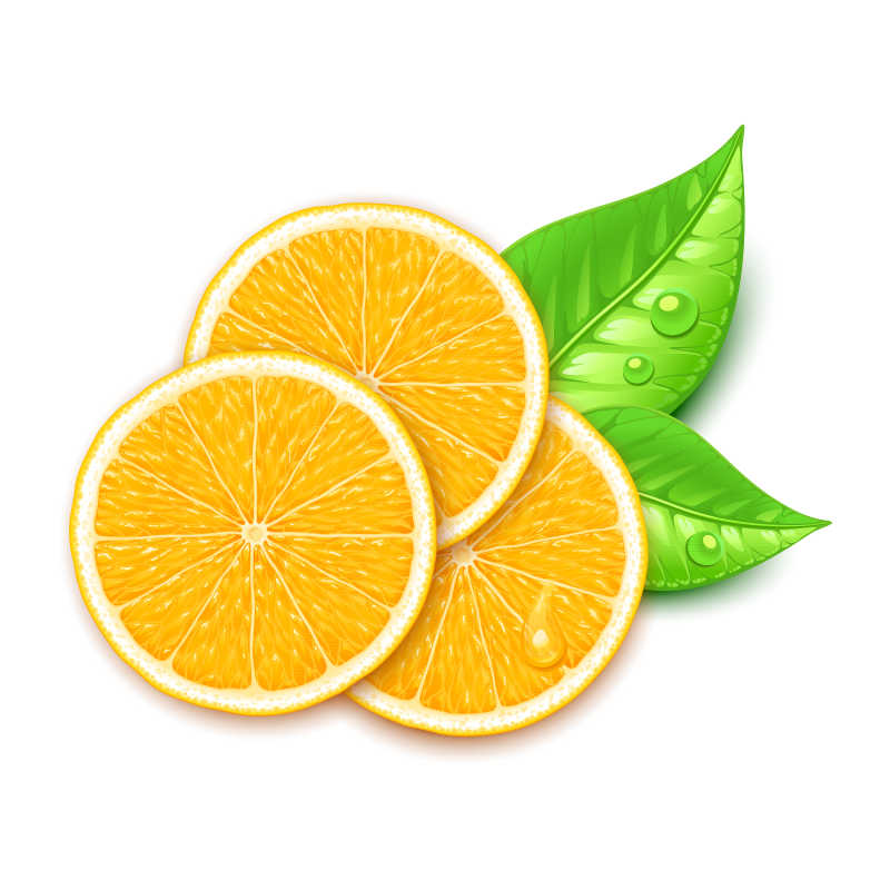 橙子切片矢量背景设计
