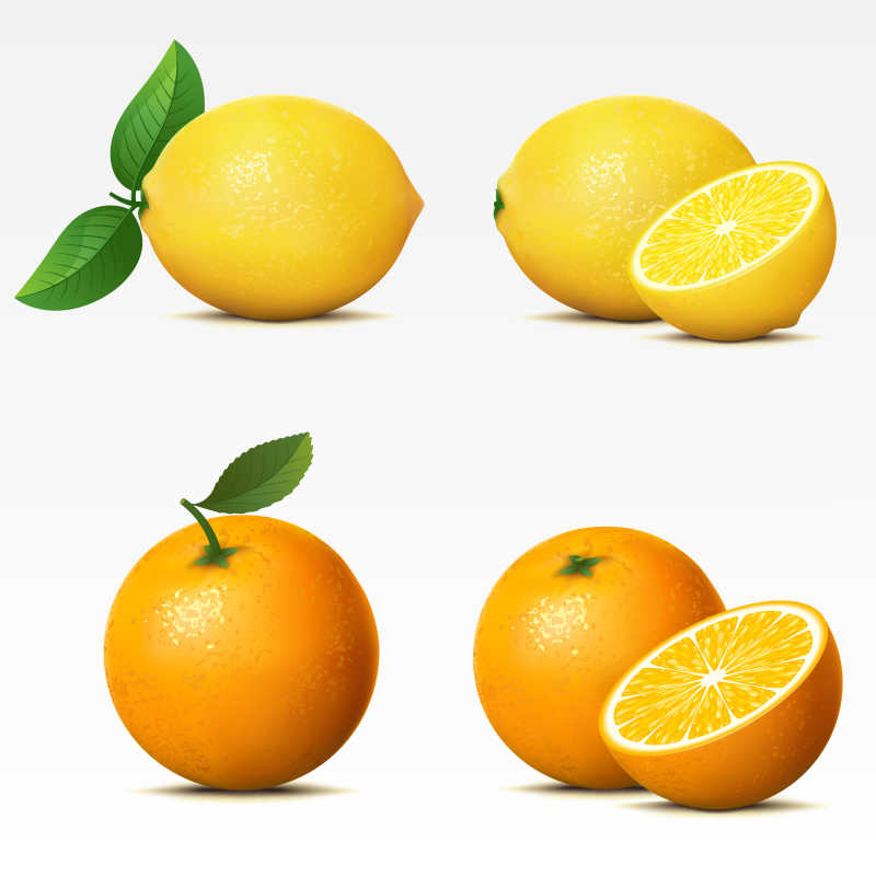 矢量的柑橘类水果