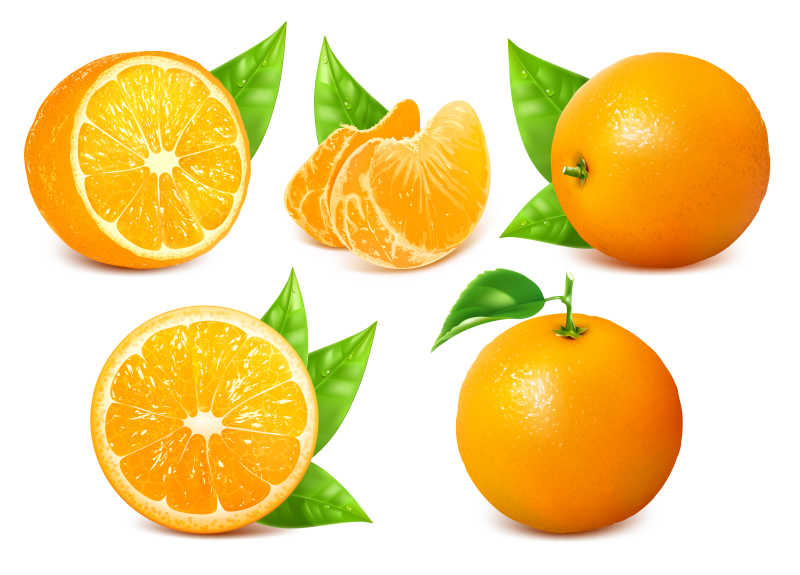新鲜成熟的柑橘矢量背景