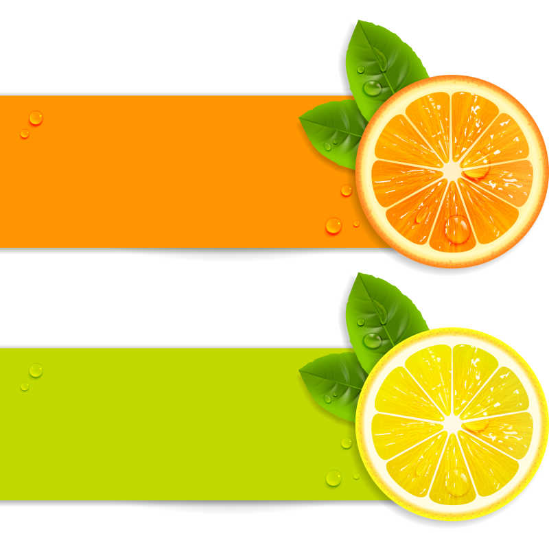 新鲜的切片柑橘类水果矢量图