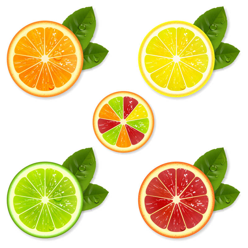 白色背景上的各种柑橘类水果矢量插图
