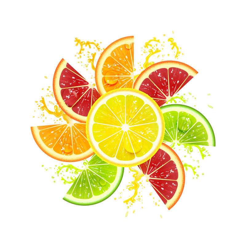 色彩缤纷的新鲜柑橘类水果矢量图