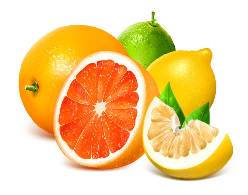 新鲜柑橘类水果矢量插图
