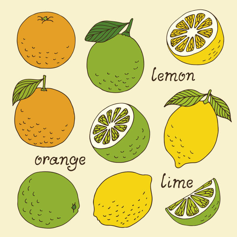 手绘彩色柑橘类水果图案矢量图