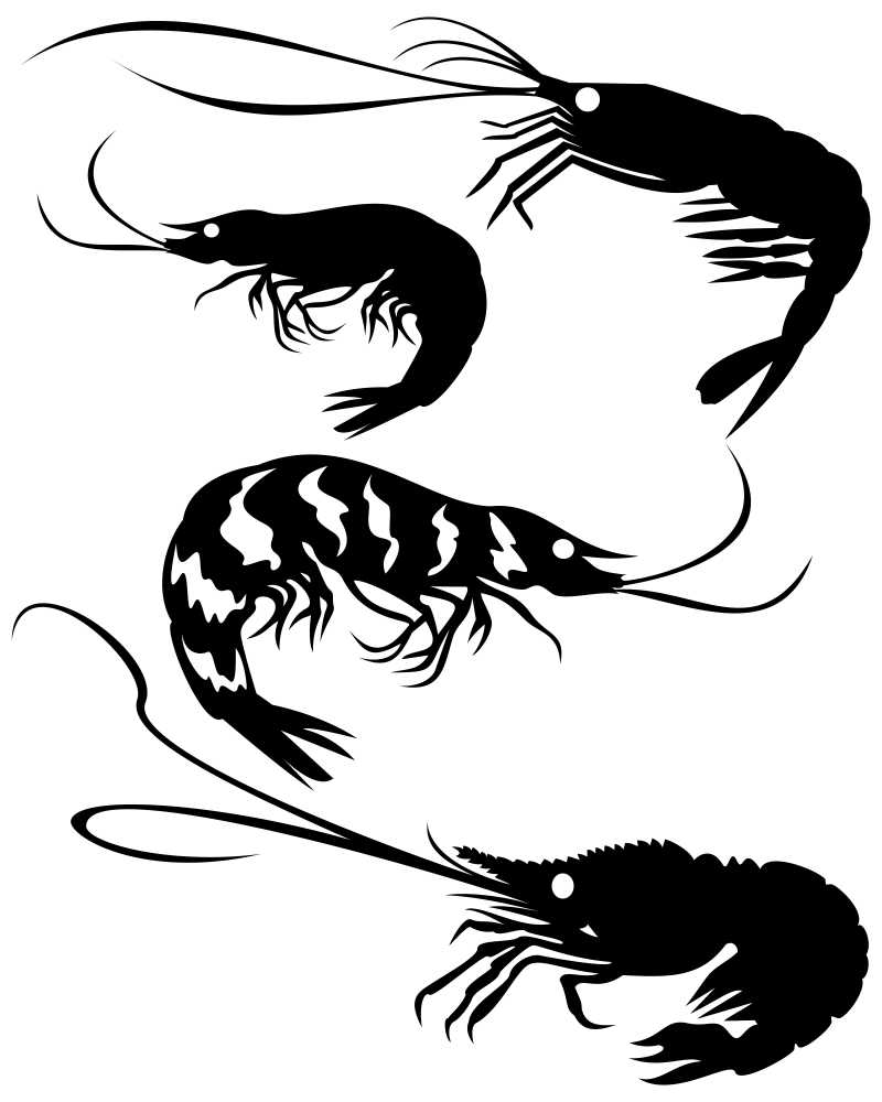 矢量黑色虾插画