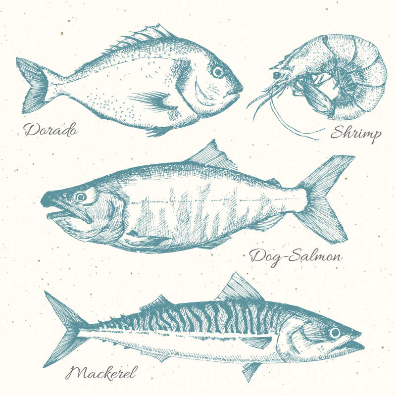 矢量海鲜插画集