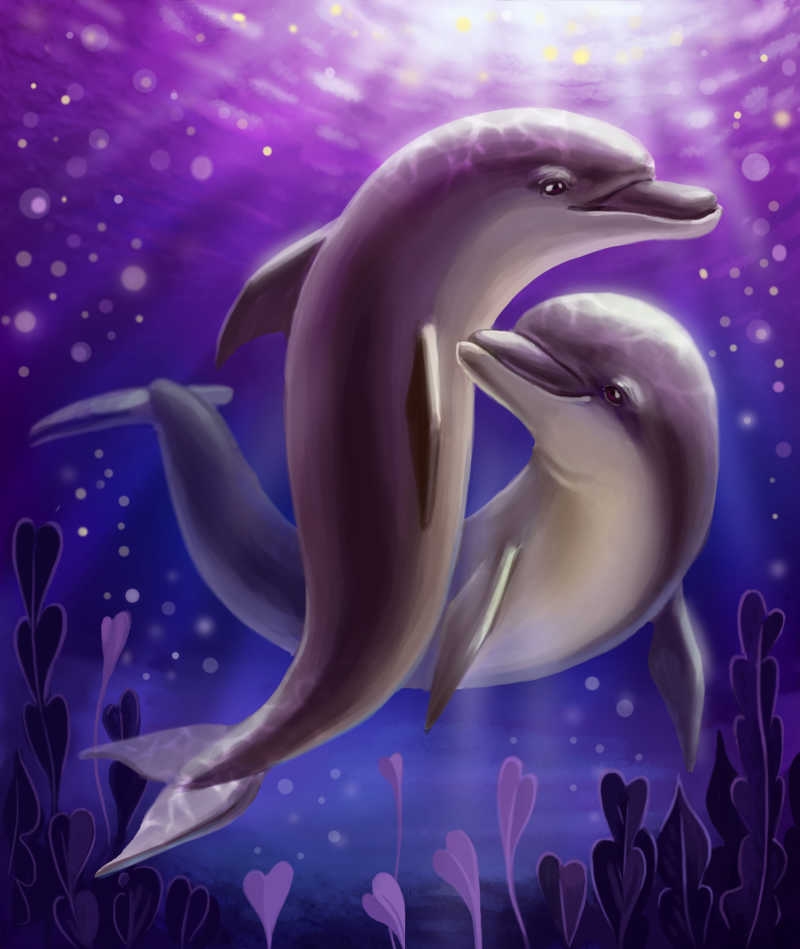 海豚图片 可爱美丽的卡通海豚素材 高清图片 摄影照片 寻图免费打包下载