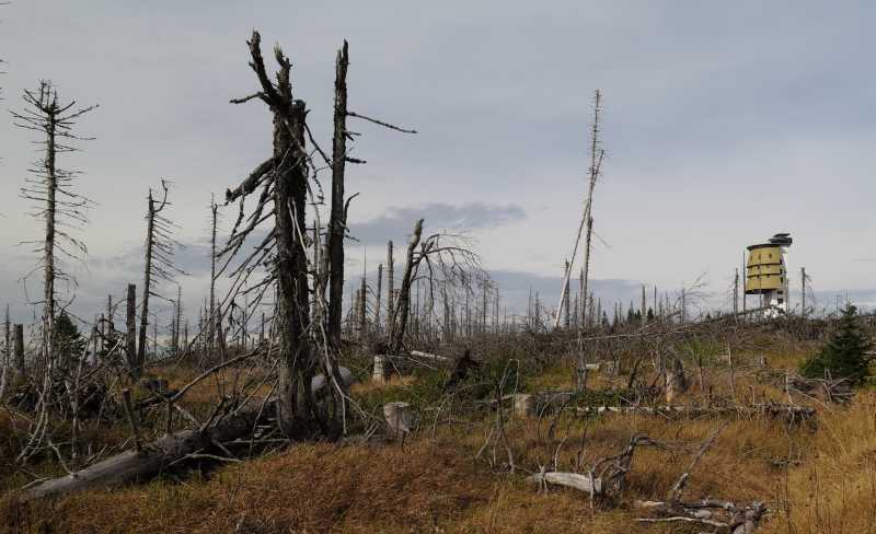 户外公园山顶上的了望塔