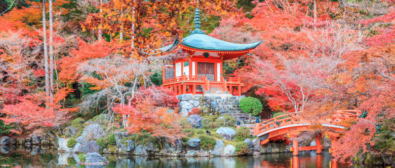 日本寺庙里的彩叶变红