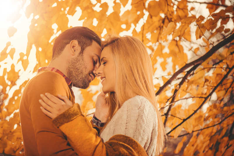 秋天公园树下的幸福年轻情侣