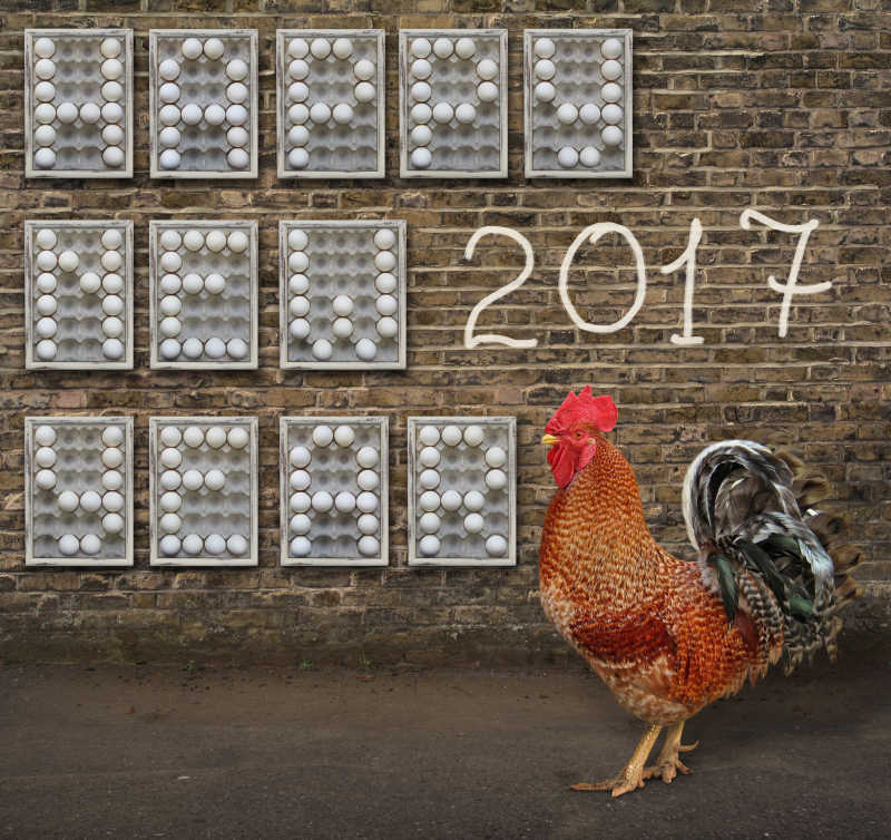 2017鸡年快乐创意